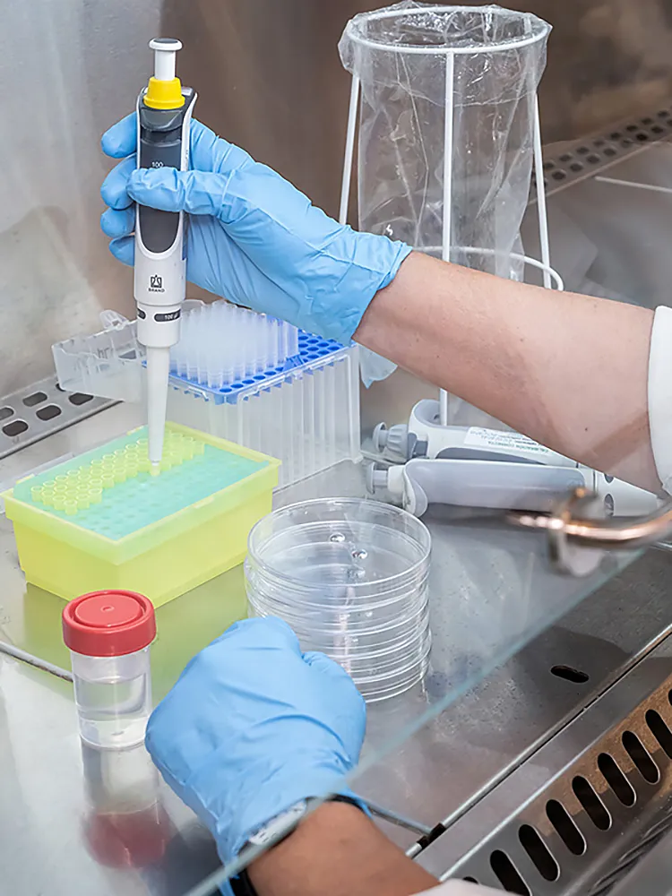 Fotografía laboratorio farmacéutico pipeteo placa cultivo Barcelona